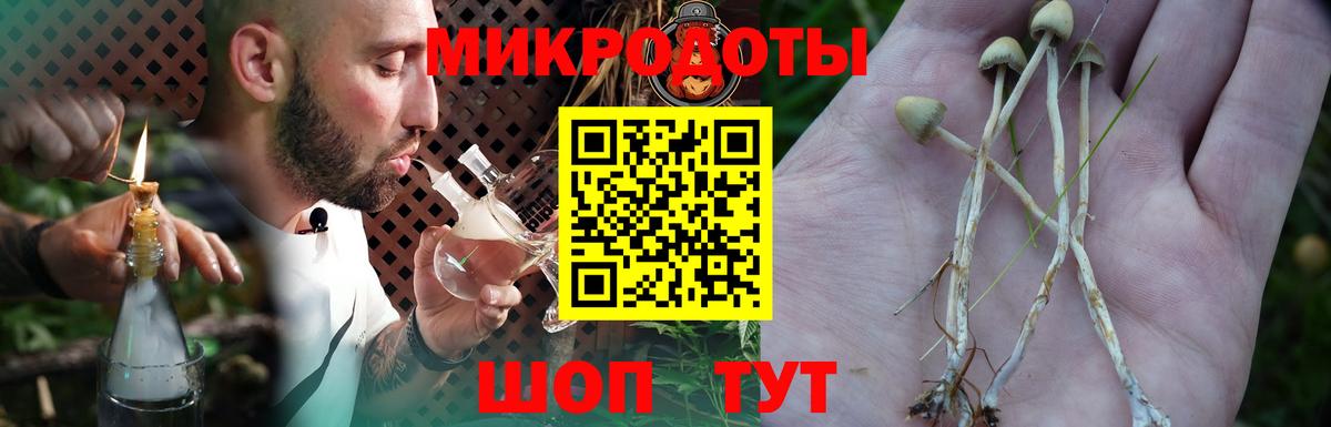 Псилоцибиновые грибы мухоморы Щёкино